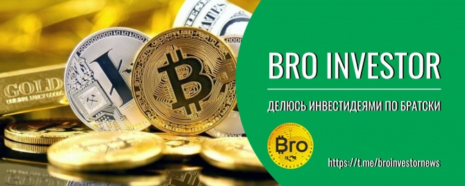 Bro Investor -    